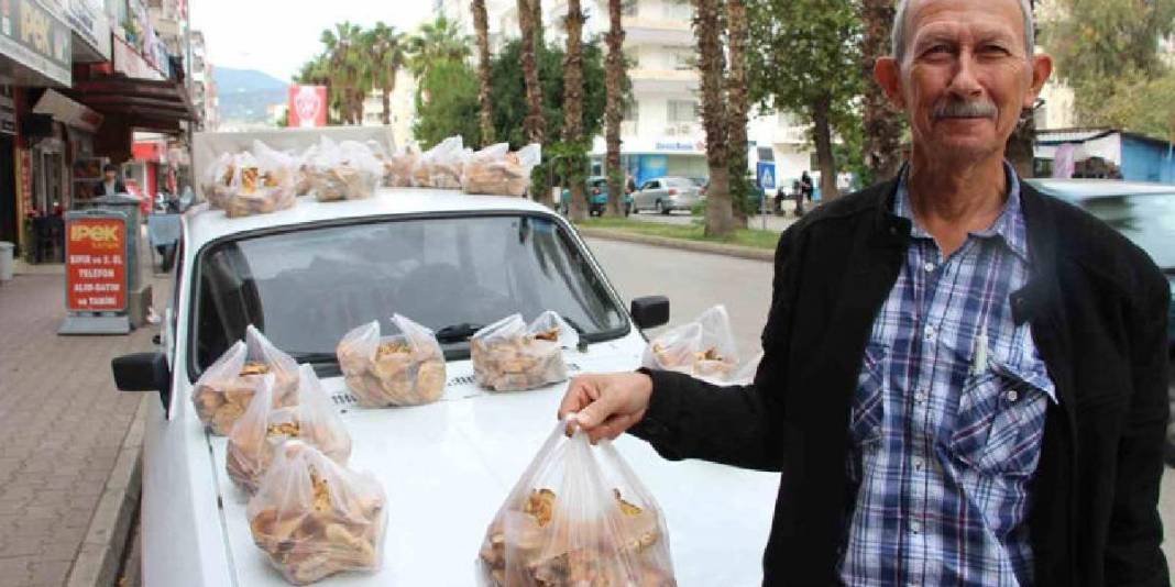 Şimşek ve gök gürültüsünden sonra çıkıyor, tek tek toplanıyor! Ormandan gelen geçim kaynağı: 450 TL’den satılıyor 1